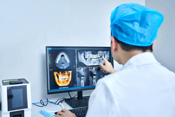Best Emergency X-Rays and Diagnostics in Elkins, WV